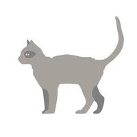 Grey cat. flat vector illustration of a gray walking cat.