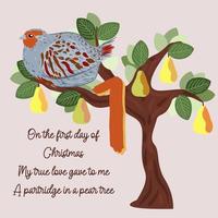 The twelve days og Christmas. First day. Partridge in a pear tree. vector