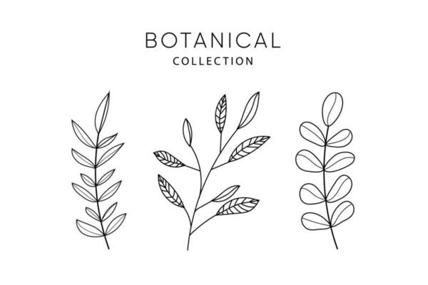 Set of leaves doodle elements.