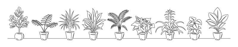 Set of continuous line drawing of a flowers in a pots vector