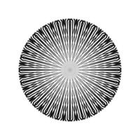 Ornamental Motifs Pattern Circle-Shaped for Decoration, Motifs Pattern, Ornate, Background, Website or Graphic Design Element. Vector Illustration