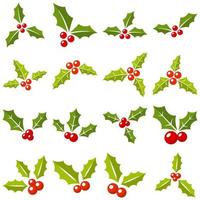 Set of holly berries in flat style isolated vector