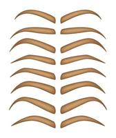 Set of Eyebrow shapes on white background vector