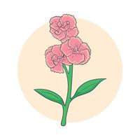 hand drawn carnation flower vector