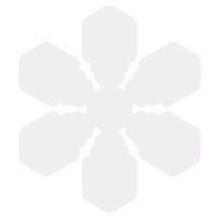 Snowflake Decorations png