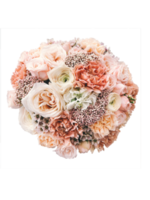 hink rosa pastell blomma png