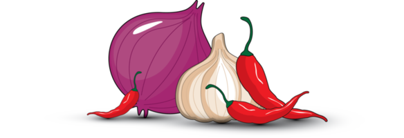 Chilies, onion and garlic illustration . png