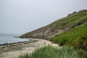 Sea Coast on a Summer Day photo