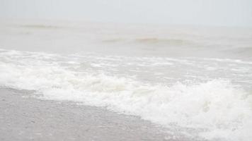 Waves on the sand. The beach in Jurkalne, Latvia. Baltic Sea in the background, foggy. video