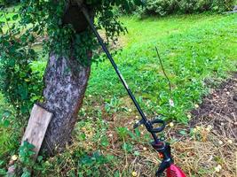 a lawn mower stands near a tree. a grass mowing machine with a red handle and a black base stands beside an apple tree, waiting for the gardener. creating a smooth lawn photo