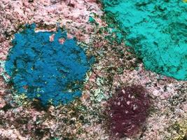 paint on stone. texture from natural materials. circles of blue, green, red are painted on the granite. moss grows on the stone due to moisture. natural background photo