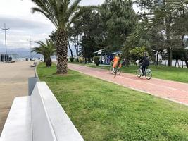 People ride a bike along an alley with green palm trees in a park in the warm tropical sea resort of the summer. Georgia, Tbilisi, April 16, 2019 photo