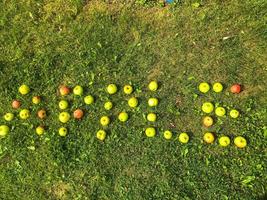 word from apples. the letters are lined with apples in red, green and yellow. unusual inscription on the grass. word apple is lined with apples. red, green, yellow apples on autumn grass photo