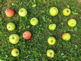 letters from apples. two letters apple inscription. letters for word, congratulations, creative image of words. yellow, red, green letters, edible lie on the green grass photo