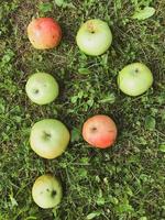 letras de manzanas. letra p, inscripción de manzana. letras por palabra, felicitaciones, imagen creativa de palabras. carta comestible, manzanas verdes y rojas, inscripción de frutas en hierba verde foto