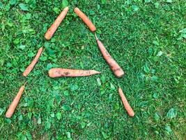 carrot letters lie on the lawn. the letter A on the grass. vitamin english alphabet. creative lettering. word from orange root. healthy food, food for weight loss photo