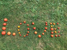 A word from a tomato, letters L, O, V, E. The word LOVE. Letters from red and yellow tomatoes on green grass. Healthy food, weight loss. Healthy habits, tomatoes for pasta and pizza photo