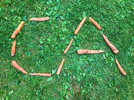 carrot letters lie on the lawn. the letters C and A on the grass. vitamin alphabet. creative lettering. syllables from letters of orange color. healthy food, diet photo
