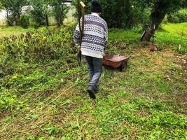 a gardener in a warm, gray, woolen sweater walks through the plot with a cart. metal trolley for transporting crops, manure, earth. garden care photo