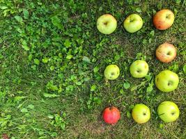 letras de arte creativas de manzanas. letra e, w, inscripción de manzana, compilación de palabras. letras por palabra, alfabeto, felicitaciones. letras de vitamina, palabra hecha de frutas verdes foto