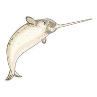 icono de ballena narval, estilo de dibujos animados vector