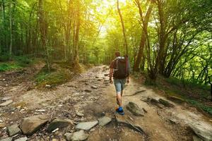 A traveler with a backpack in the spring forest on the path looks ahead. Sunlight through the crowns of trees. photo