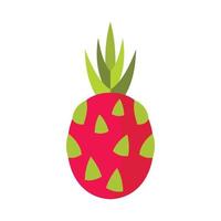 Pitaya, dragon fruit icon, flat style vector