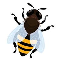 Bee icon, cartoon style vector