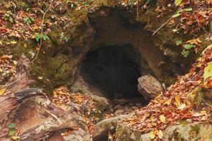 gran entrada a la cueva en el bosque de otoño. foto