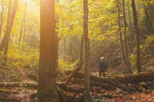 A child with a backpack stands with his back on a log in the autumn forest with trees and golden foliage in the riverbed, with soft sunlight. photo