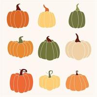 calabaza de varias formas y colores. acción de gracias vector