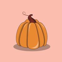 Pumpkin of various shapes and colors. Thanksgiving vector