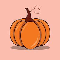 Pumpkin of various shapes and colors. Thanksgiving vector