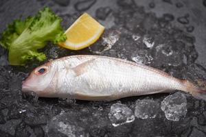 Fresh raw fish with ingredients lemon rosemary and lettuce for making cooked food on ice at market sea bream seafood fish frozen photo