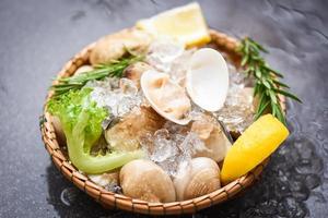 mariscos con hielo congelado en la cesta - almeja de concha fresca con ingredientes de hierbas para ensalada, concha de venus esmaltada, almejas de agua salada foto