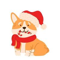 Christmas dog corgi dressed in Christmas costume santa hat and red scarf. Cartoon animal puppy Isolated vector illustration for t shirt print, game, textile, pet icons, kids design.