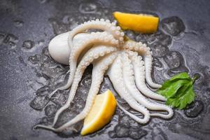 Fresh squids octopus or cuttlefish for cooked food salad restaurant - Raw squid on ice with lemon on the dark plate seafood market photo