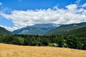 Field and mountains photo