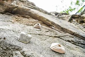 Rock climbing wall photo