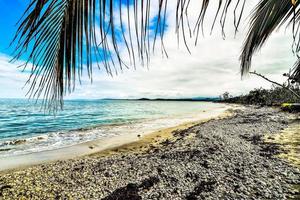 Beach during the day photo