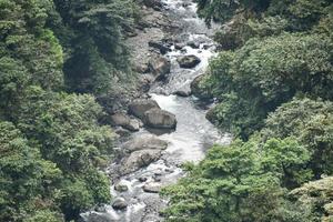 River in the forest photo