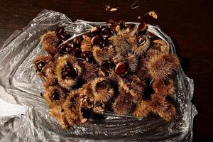 Pile of chestnuts photo