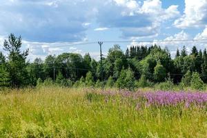 Field with blue sky photo