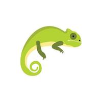 Chameleon icon in flat style vector