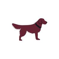 Irish setter icon, flat style vector