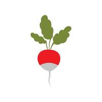 Radish icon in flat style vector