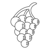 Bunch grape icon, outline style vector