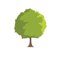 icono de árbol de haya, estilo plano vector