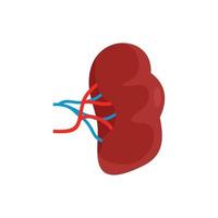 Brown kidney icon, flat style vector