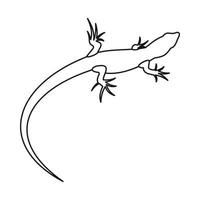 Lizard icon, outline style vector